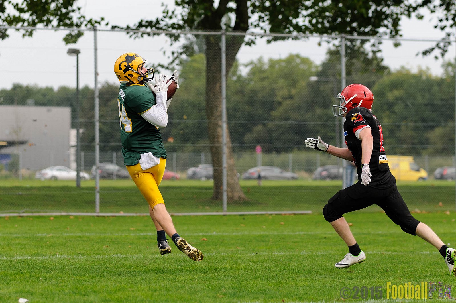 Cologne Crocodiles vs. Potsdam Royals - 12.09.2015 GFL2 Nord: Cologne Crocodiles vs. Potsdam Royals (48:21)