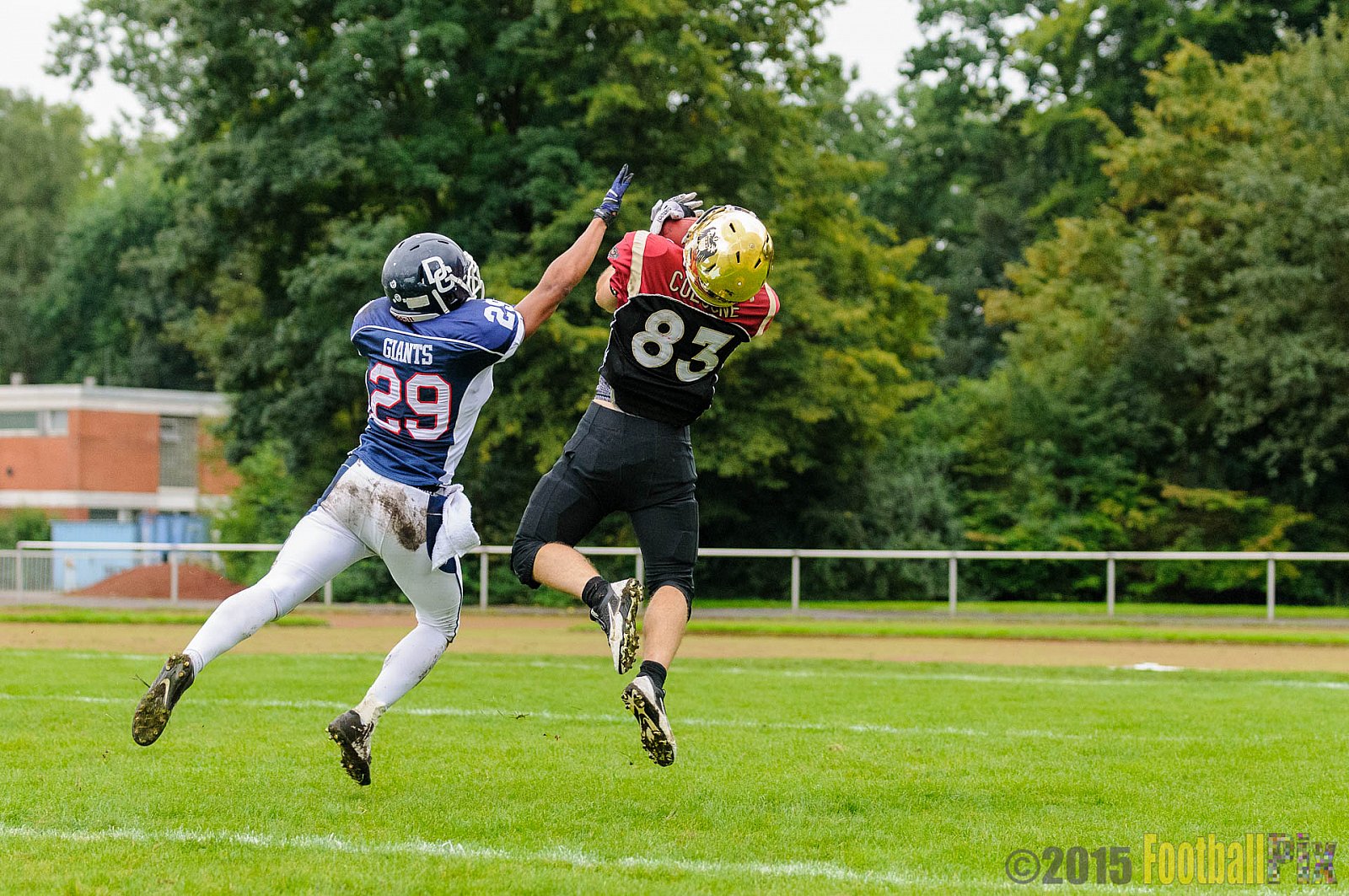 Dortmund Giants vs. Cologne Falcons - 13.09.2015 OL NRW: Dortmund Giants vs. Cologne Falcons (12:44)