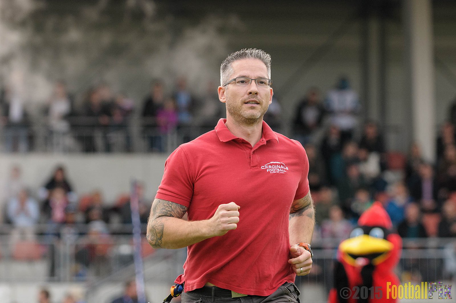 Essen Assindia Cardinals vs. Ritterhude Badgers - 19.09.2015 RL NRW: Essen Assindia Cardinals vs. Ritterhude Badgers (43:0)