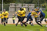 Essen Assindia Cardinals vs. Ritterhude Badgers - 19.09.2015 RL NRW: Essen Assindia Cardinals vs. Ritterhude Badgers (43:0)