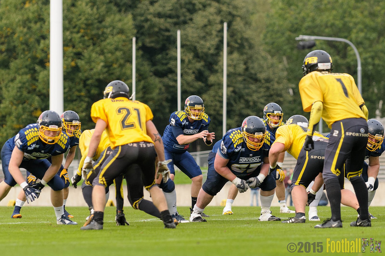 Essen Assindia Cardinals vs. Ritterhude Badgers - 19.09.2015 RL NRW: Essen Assindia Cardinals vs. Ritterhude Badgers (43:0)