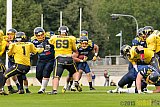 Essen Assindia Cardinals vs. Ritterhude Badgers - 19.09.2015 RL NRW: Essen Assindia Cardinals vs. Ritterhude Badgers (43:0)