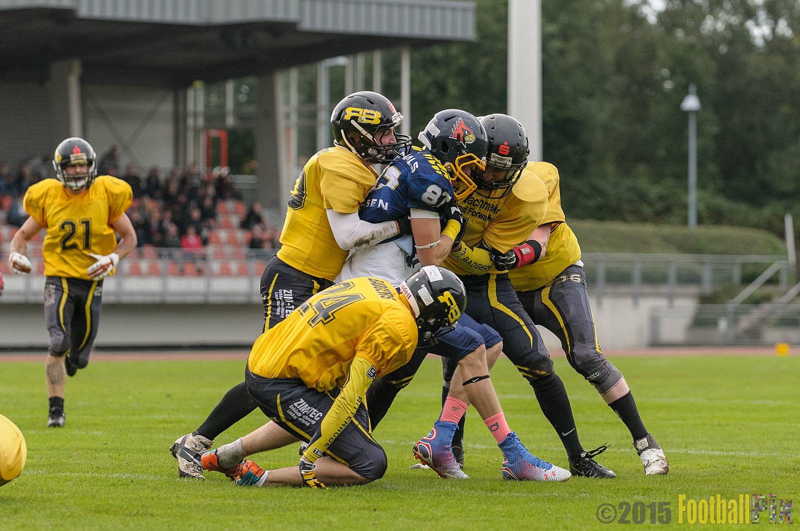 Essen Assindia Cardinals vs. Ritterhude Badgers - 19.09.2015 RL NRW: Essen Assindia Cardinals vs. Ritterhude Badgers (43:0)