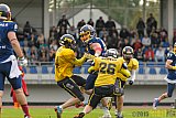 Essen Assindia Cardinals vs. Ritterhude Badgers - 19.09.2015 RL NRW: Essen Assindia Cardinals vs. Ritterhude Badgers (43:0)