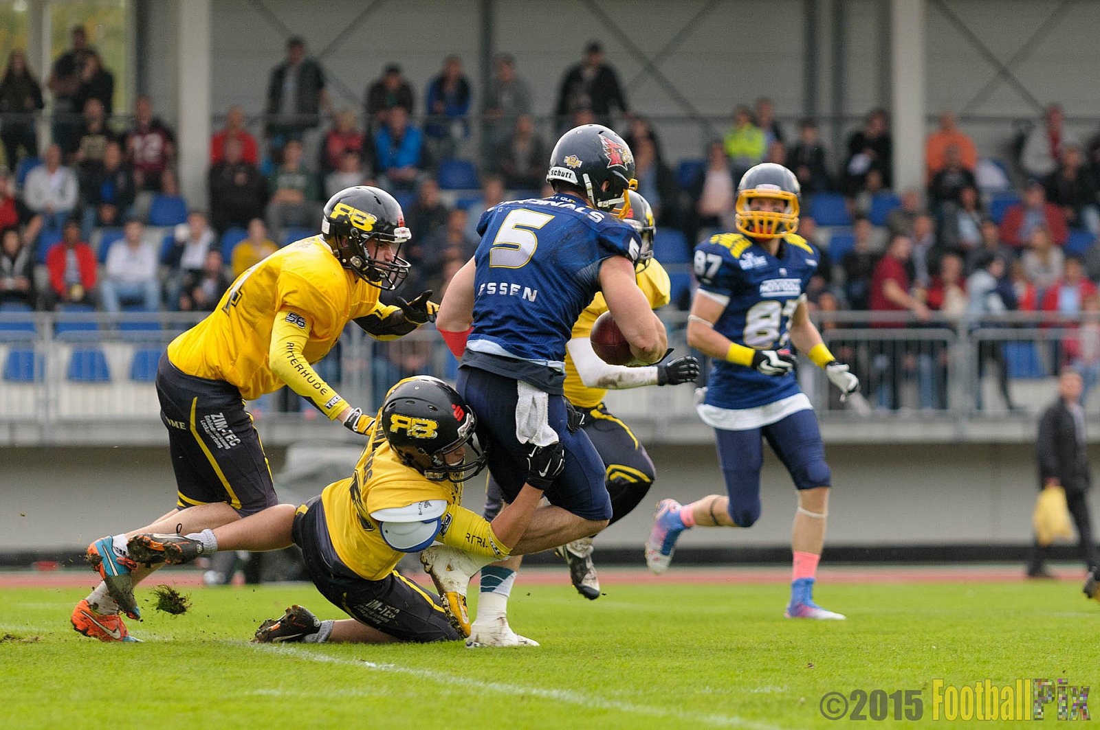 Essen Assindia Cardinals vs. Ritterhude Badgers - 19.09.2015 RL NRW: Essen Assindia Cardinals vs. Ritterhude Badgers (43:0)