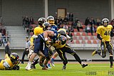 Essen Assindia Cardinals vs. Ritterhude Badgers - 19.09.2015 RL NRW: Essen Assindia Cardinals vs. Ritterhude Badgers (43:0)