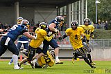Essen Assindia Cardinals vs. Ritterhude Badgers - 19.09.2015 RL NRW: Essen Assindia Cardinals vs. Ritterhude Badgers (43:0)