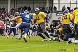 Essen Assindia Cardinals vs. Ritterhude Badgers - 19.09.2015 RL NRW: Essen Assindia Cardinals vs. Ritterhude Badgers (43:0)