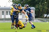 Essen Assindia Cardinals vs. Ritterhude Badgers - 19.09.2015 RL NRW: Essen Assindia Cardinals vs. Ritterhude Badgers (43:0)