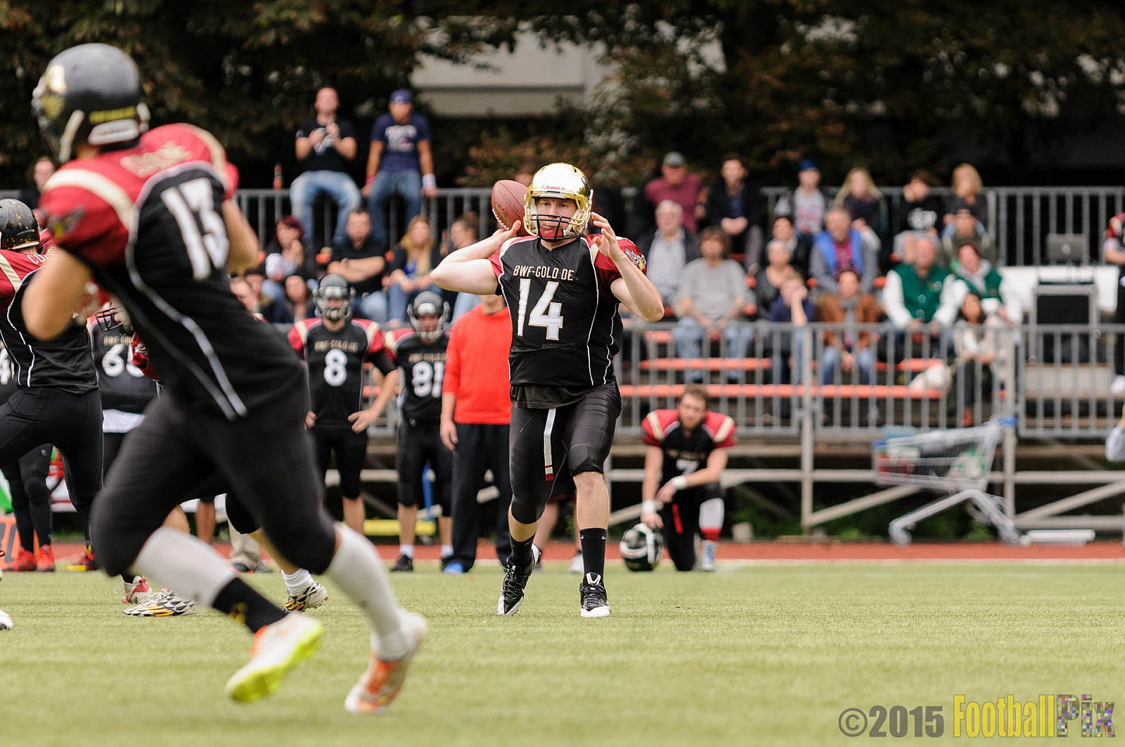 Cologne Falcons vs. Dortmund Giants - 20.09.2015 OL NRW: Cologne Falcons vs. Dortmund Giants (38:16)