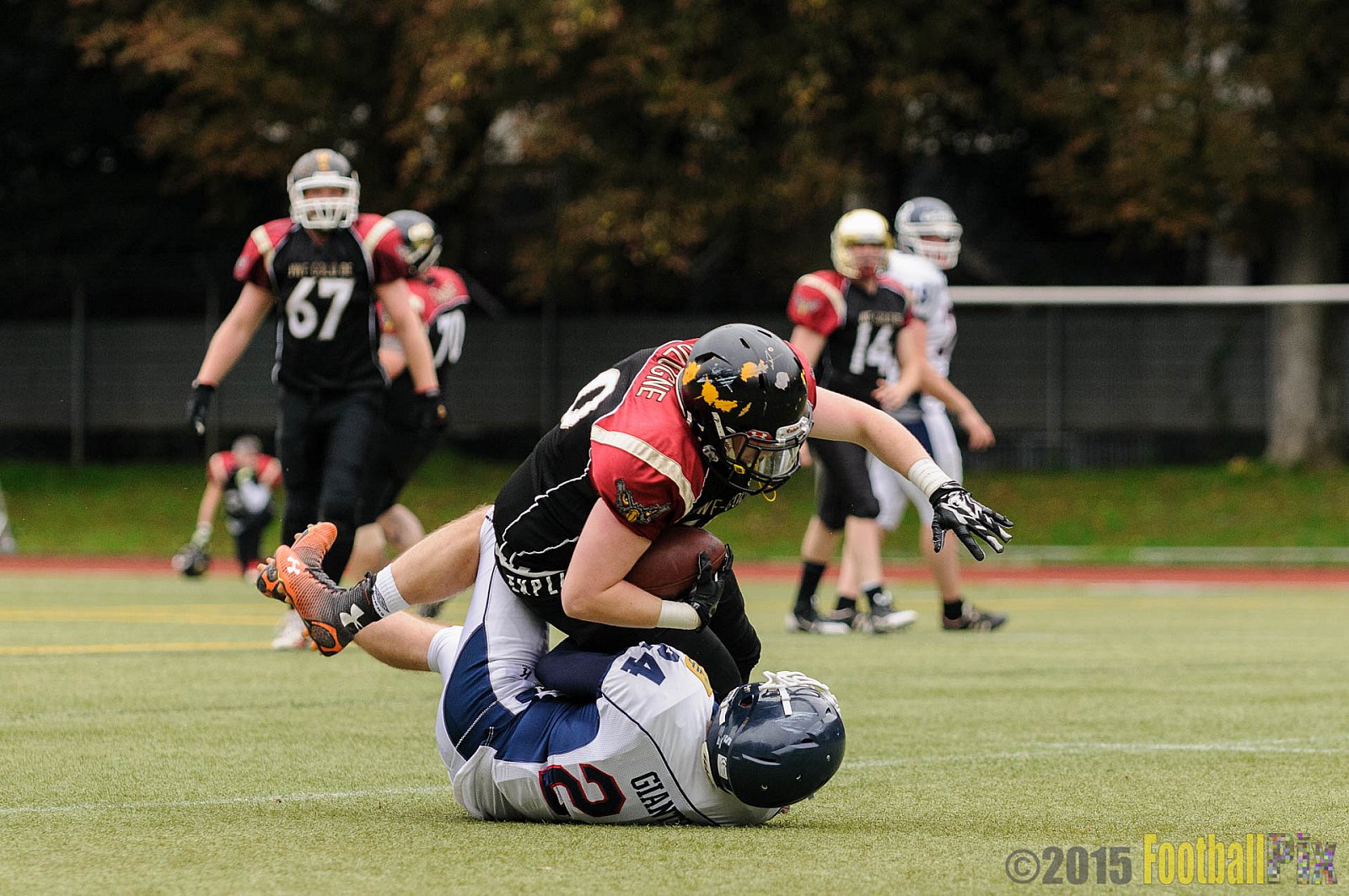 Cologne Falcons vs. Dortmund Giants - 20.09.2015 OL NRW: Cologne Falcons vs. Dortmund Giants (38:16)