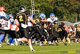 Bocholt Rhinos vs. Düsseldorf Bulldozer - 04.10.2015 LL Mitte NRW: Bocholt Rhinos vs. Düsseldorf Bulldozer (14:2)