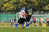 Bocholt Rhinos vs. Düsseldorf Bulldozer - 04.10.2015 LL Mitte NRW: Bocholt Rhinos vs. Düsseldorf Bulldozer (14:2)