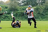 Bocholt Rhinos vs. Düsseldorf Bulldozer - 04.10.2015 LL Mitte NRW: Bocholt Rhinos vs. Düsseldorf Bulldozer (14:2)