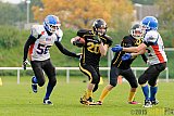 Bocholt Rhinos vs. Düsseldorf Bulldozer - 04.10.2015 LL Mitte NRW: Bocholt Rhinos vs. Düsseldorf Bulldozer (14:2)