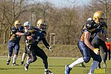 Gelsenkirchen Devils vs. M&ouml;nchengladbach Wolfpack  - 08.03.2015 Scrimmage: Schiefbahn Riders, M&uuml;lheim Shamrocks