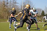 Gelsenkirchen Devils vs. M&ouml;nchengladbach Wolfpack  - 08.03.2015 Scrimmage: Schiefbahn Riders, M&uuml;lheim Shamrocks