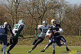 Gelsenkirchen Devils vs. M&ouml;nchengladbach Wolfpack  - 08.03.2015 Scrimmage: Schiefbahn Riders, M&uuml;lheim Shamrocks