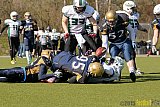 Gelsenkirchen Devils vs. M&ouml;nchengladbach Wolfpack  - 08.03.2015 Scrimmage: Schiefbahn Riders, M&uuml;lheim Shamrocks