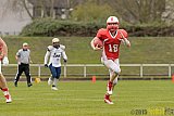 Preseason Game Gelsenkirchen Devils vs. Mainz Golden Eagles - 11.04.2015 Off-Season Game: Gelsenkirchen Devils vs. Mainz Golden Eagles (31:0)