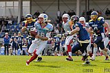 Essen Assindia Cardinals vs. Bonn Gamecocks - 12.04.2015 Preseason Game Essen Assindia Cardinals vs. Bonn Gamecocks (14:12)