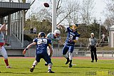 Essen Assindia Cardinals vs. Bonn Gamecocks - 12.04.2015 Preseason Game Essen Assindia Cardinals vs. Bonn Gamecocks (14:12)