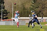 Essen Assindia Cardinals vs. Bonn Gamecocks - 12.04.2015 Preseason Game Essen Assindia Cardinals vs. Bonn Gamecocks (14:12)