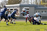 Essen Assindia Cardinals vs. Bonn Gamecocks - 12.04.2015 Preseason Game Essen Assindia Cardinals vs. Bonn Gamecocks (14:12)