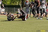 Cologne Falcons II vs. Mönchengladbach Wolfpack - 18.04.2015 OL NRW: Cologne Falcons II vs. Mönchengladbach Wolfpack (44:12)