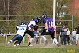 Langenfeld Longhorns vs. Essen Assindia Cardinals - 19.04.2015 RL NRW: Langenfeld Longhorns vs. Essen Assindia Cardinals (19:24)