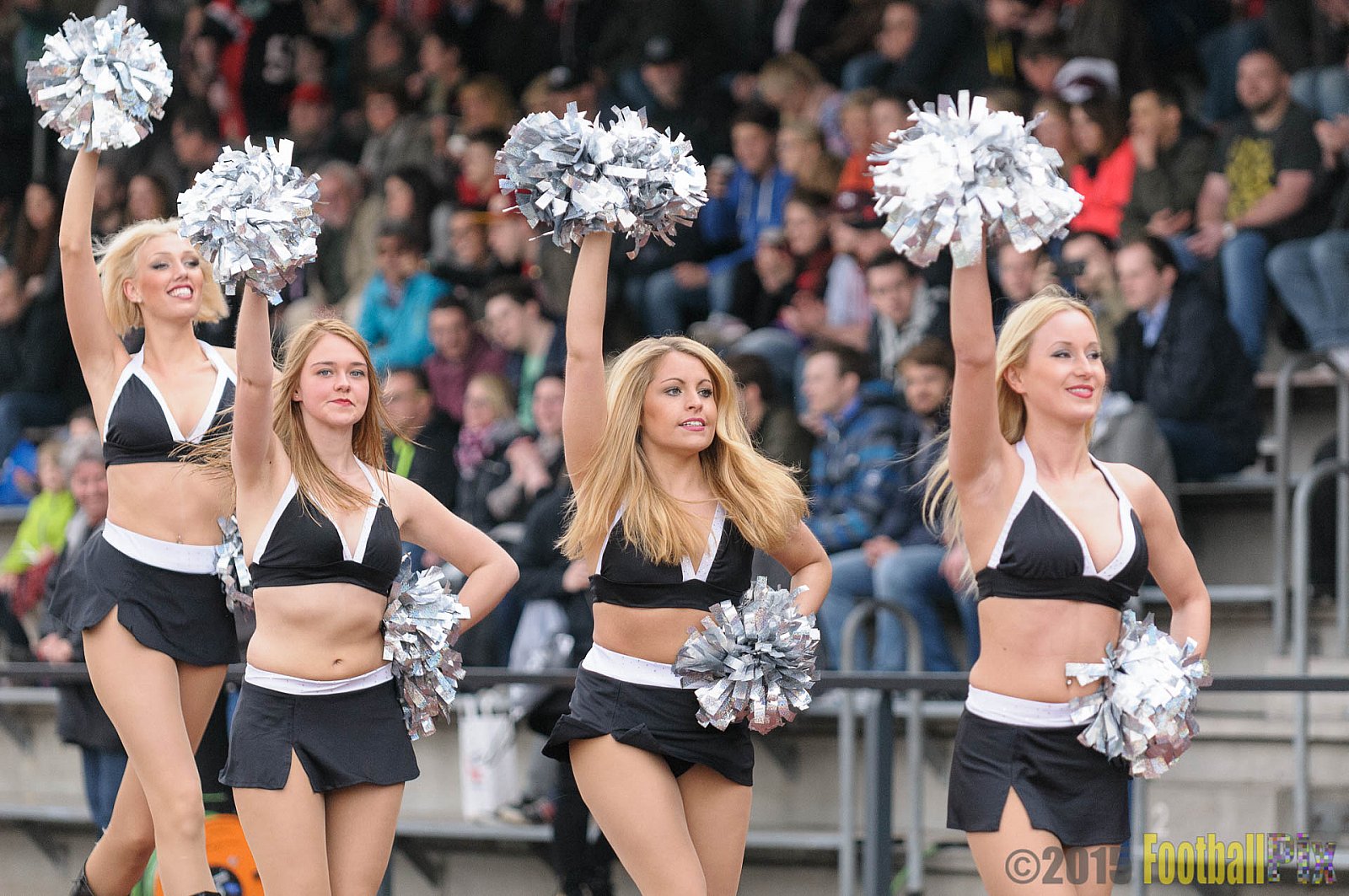 Düsseldorf Panther vs. Berlin Adler - 25.04.2015 GFL Nord: Düsseldorf Panther vs. Berlin Adler (30:0)