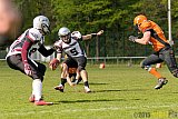 Wuppertal Greyhounds vs. Wipperfürth Phoenix - 01.05.2015 LL West NRW: Wuppertal Greyhounds vs. Wipperfürth Phoenix (72:6)