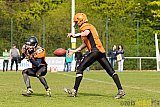Wuppertal Greyhounds vs. Wipperfürth Phoenix - 01.05.2015 LL West NRW: Wuppertal Greyhounds vs. Wipperfürth Phoenix (72:6)