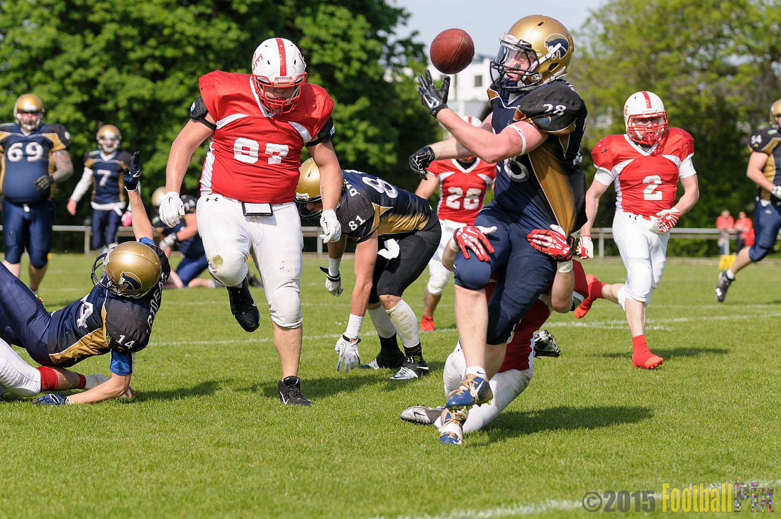Schiefbahn Riders vs. Gelsenkirchen Devils - 10.05.2015 OL NRW: Schiefbahn Riders vs. Gelsenkirchen Devils (7:14)