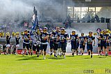 Essen Assindia Cardinals vs. Langenfeld Longhorns - 06.06.2015 RL NRW: Essen Assindia Cardinals vs. Langenfeld Longhorns (10:14)