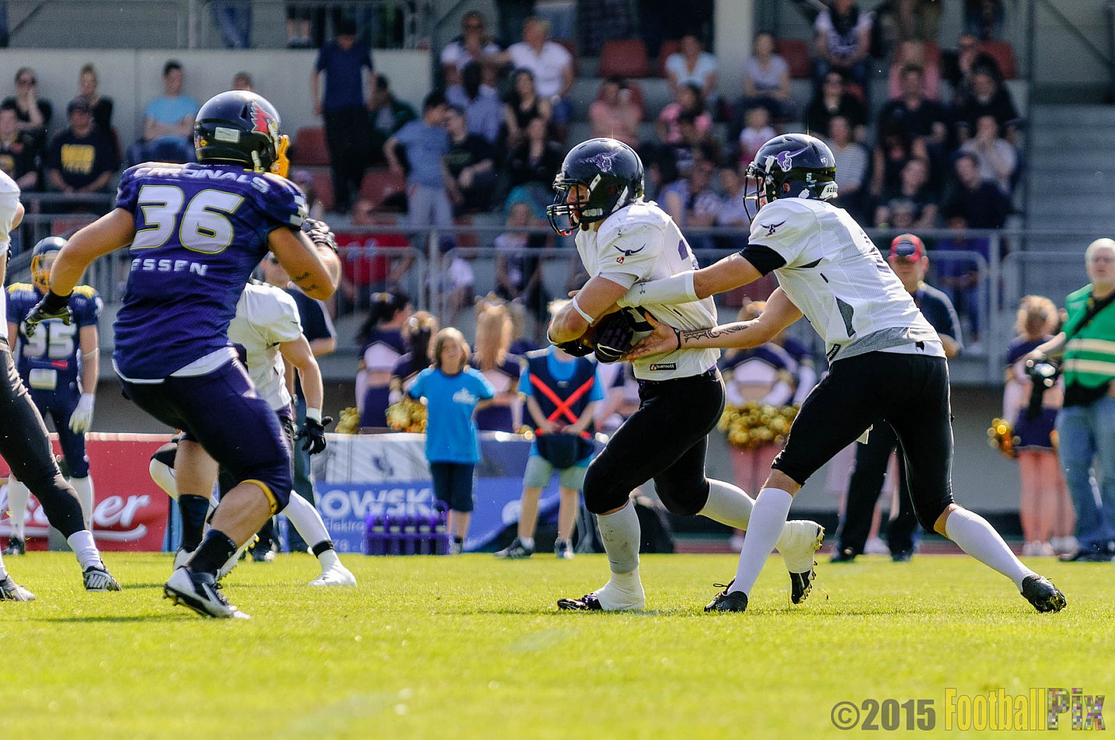 Essen Assindia Cardinals vs. Langenfeld Longhorns - 06.06.2015 RL NRW: Essen Assindia Cardinals vs. Langenfeld Longhorns (10:14)