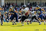 Essen Assindia Cardinals vs. Langenfeld Longhorns - 06.06.2015 RL NRW: Essen Assindia Cardinals vs. Langenfeld Longhorns (10:14)