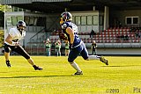 Essen Assindia Cardinals vs. Langenfeld Longhorns - 06.06.2015 RL NRW: Essen Assindia Cardinals vs. Langenfeld Longhorns (10:14)