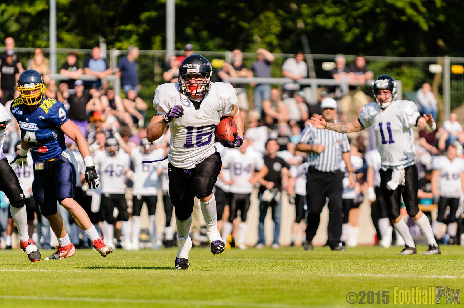 Essen Assindia Cardinals vs. Langenfeld Longhorns - 06.06.2015 RL NRW: Essen Assindia Cardinals vs. Langenfeld Longhorns (10:14)