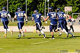 Essen Assindia Cardinals vs. Langenfeld Longhorns - 06.06.2015 RL NRW: Essen Assindia Cardinals vs. Langenfeld Longhorns (10:14)