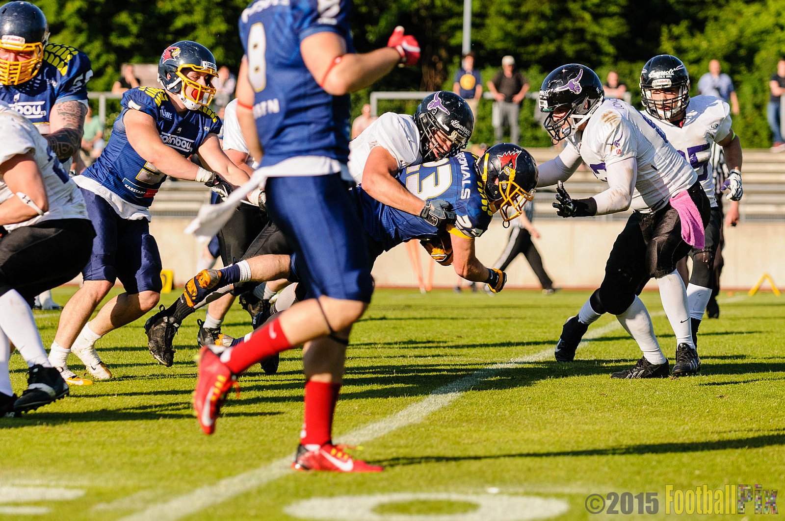 Essen Assindia Cardinals vs. Langenfeld Longhorns - 06.06.2015 RL NRW: Essen Assindia Cardinals vs. Langenfeld Longhorns (10:14)