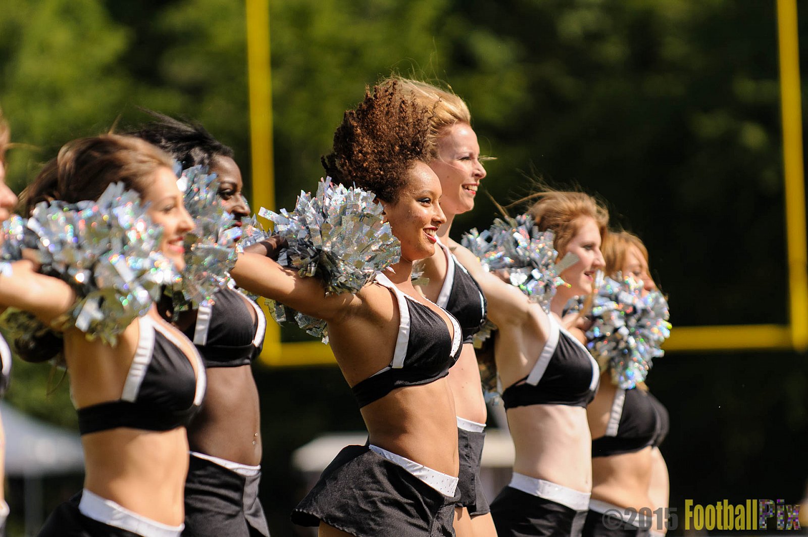Düsseldorf Panther vs. Berlin Rebels - 13.06.2015 GFL Nord: Düsseldorf Panther vs. Berlin Rebels (3:24)