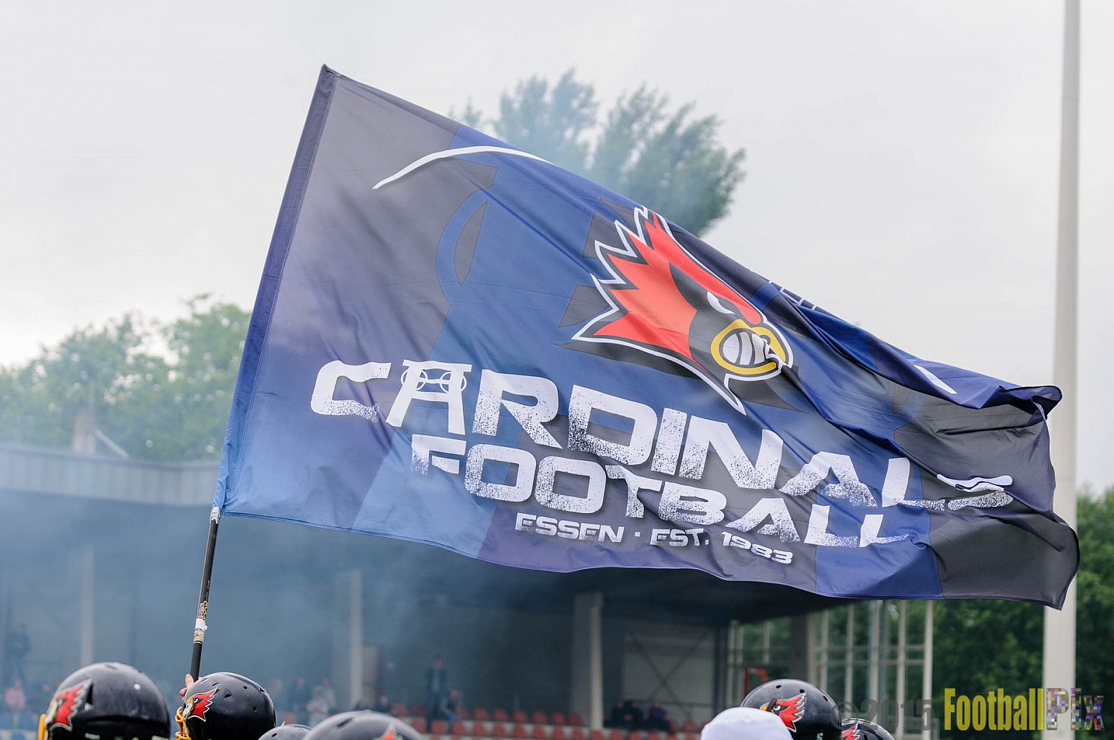 Essen Assindia Cardinals vs. Troisdorf Jets - 21.06.2015 RL NRW: Essen Assindia Cardinals vs. Troisdorf Jets (24:9)