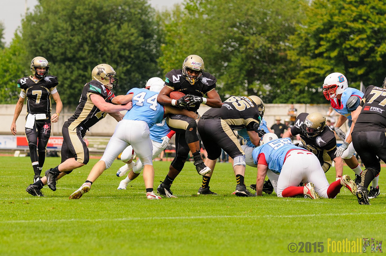 Bonn Gamecocks vs. Paderborn Dolphins - 08.08.2015 GFL2 Nord: Bonn Gamecocks vs. Paderborn Dolphins (49:35)