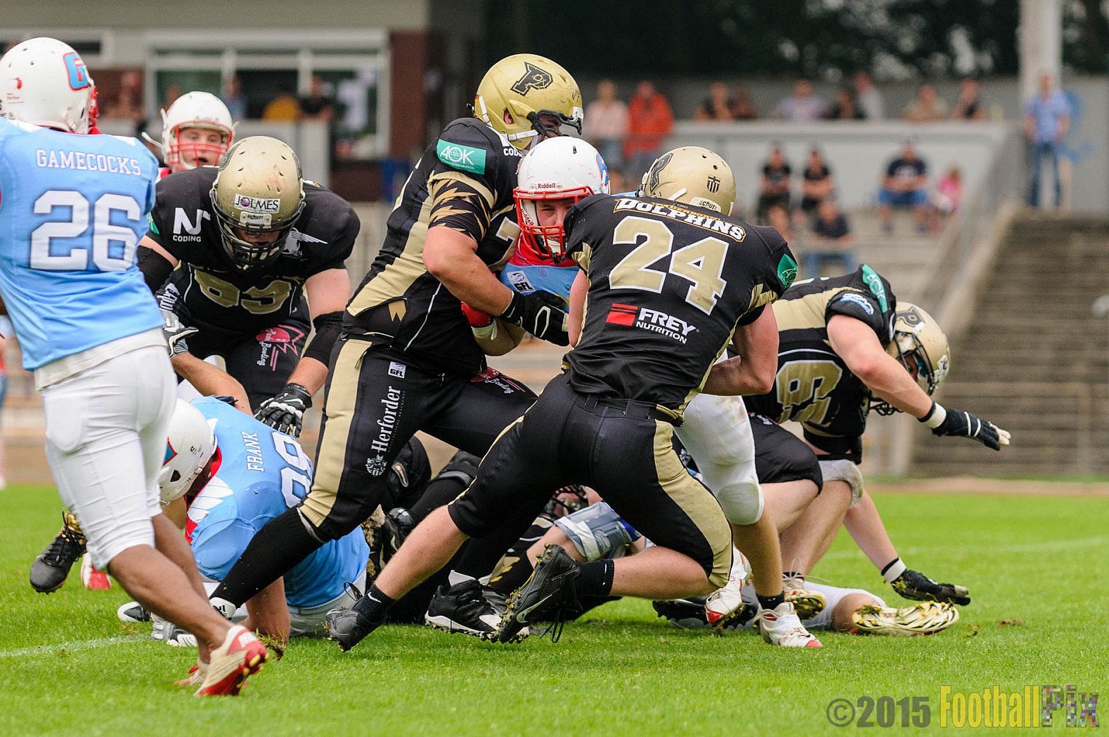 Bonn Gamecocks vs. Paderborn Dolphins - 08.08.2015 GFL2 Nord: Bonn Gamecocks vs. Paderborn Dolphins (49:35)
