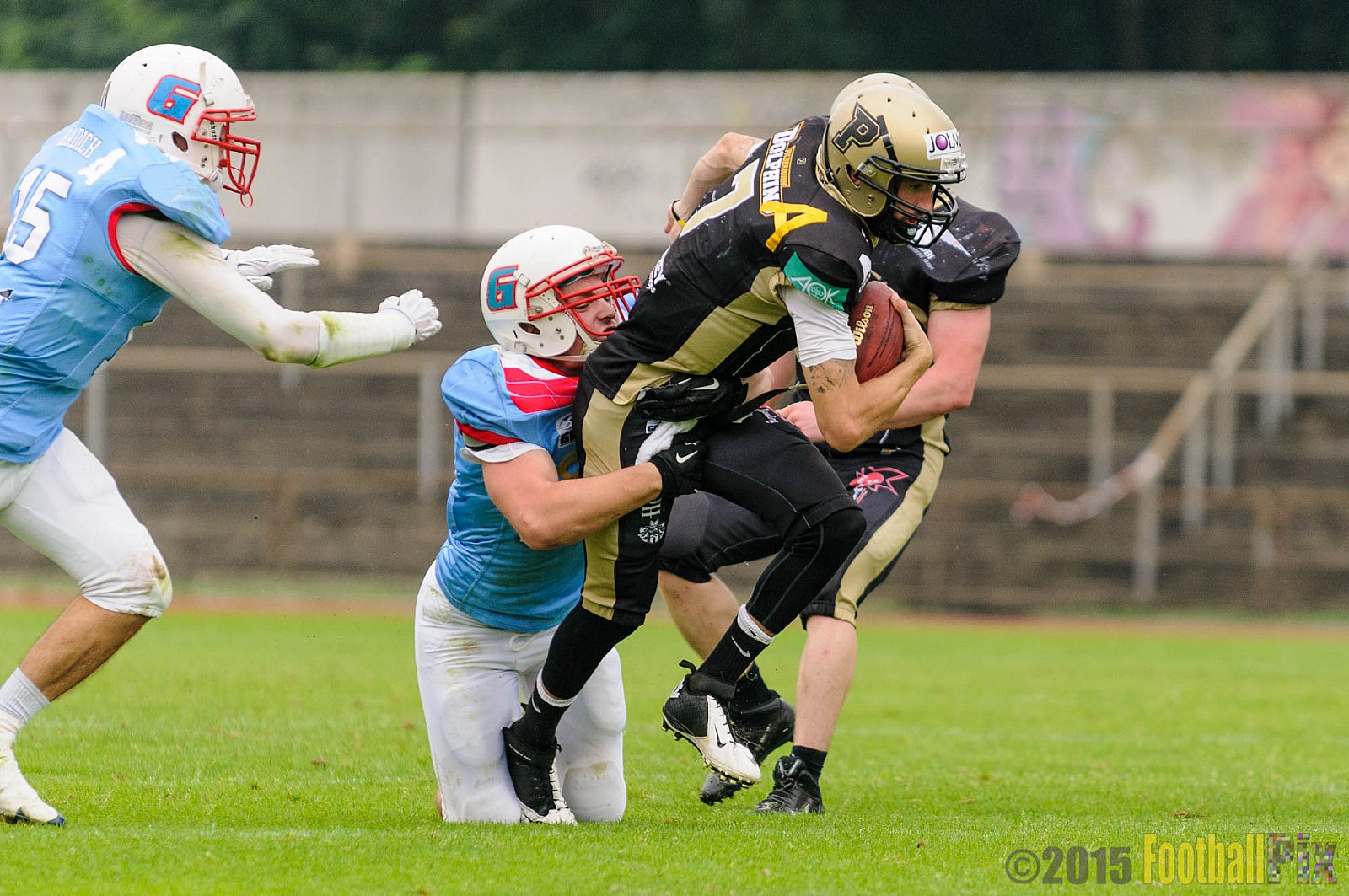 Bonn Gamecocks vs. Paderborn Dolphins - 08.08.2015 GFL2 Nord: Bonn Gamecocks vs. Paderborn Dolphins (49:35)