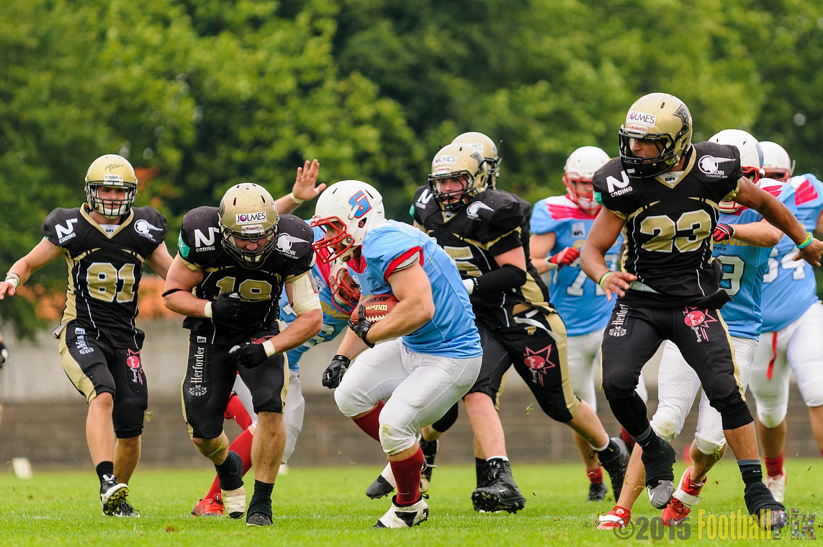 Bonn Gamecocks vs. Paderborn Dolphins - 08.08.2015 GFL2 Nord: Bonn Gamecocks vs. Paderborn Dolphins (49:35)