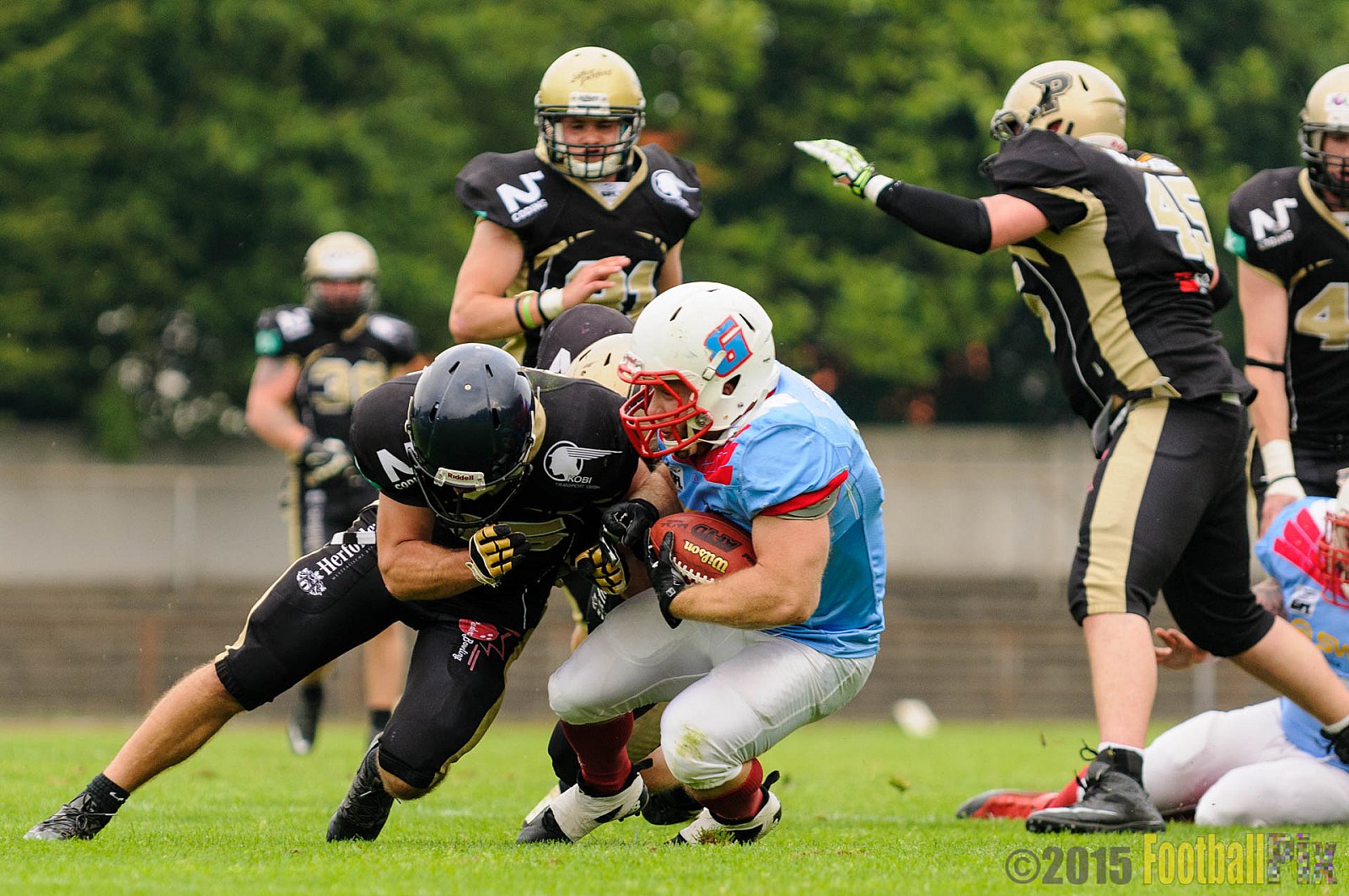 Bonn Gamecocks vs. Paderborn Dolphins - 08.08.2015 GFL2 Nord: Bonn Gamecocks vs. Paderborn Dolphins (49:35)