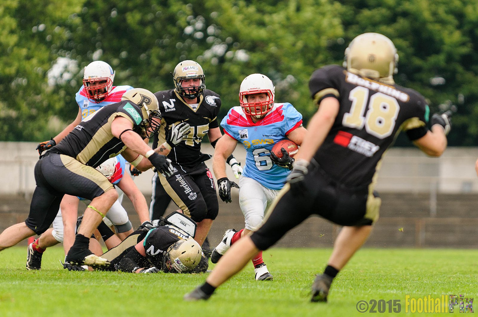 Bonn Gamecocks vs. Paderborn Dolphins - 08.08.2015 GFL2 Nord: Bonn Gamecocks vs. Paderborn Dolphins (49:35)