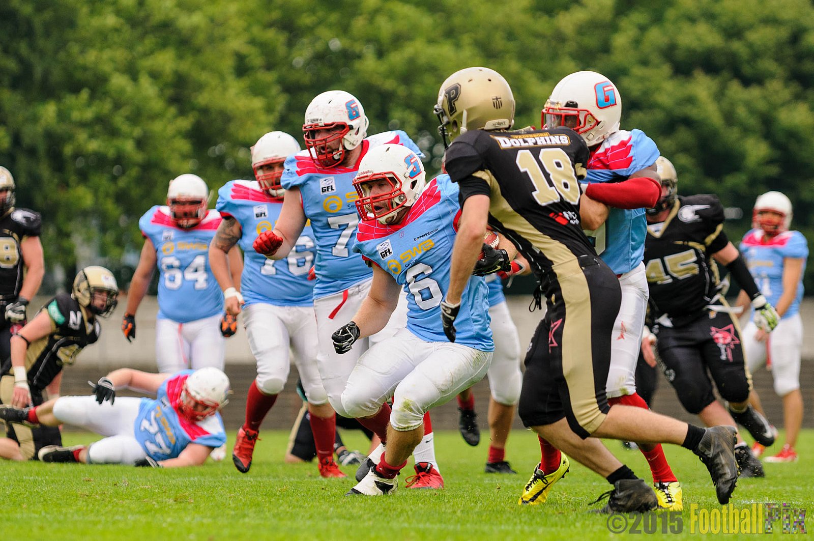 Bonn Gamecocks vs. Paderborn Dolphins - 08.08.2015 GFL2 Nord: Bonn Gamecocks vs. Paderborn Dolphins (49:35)